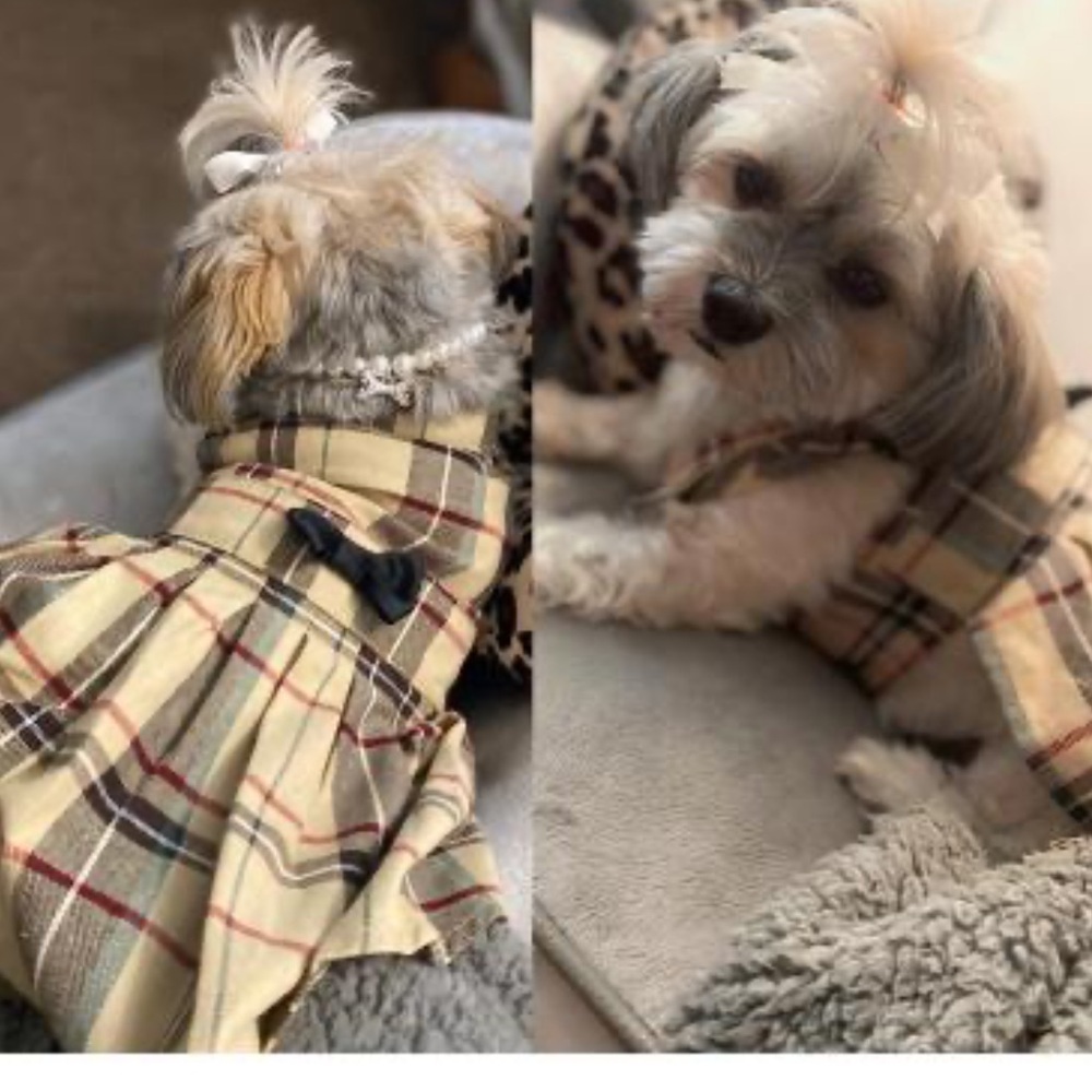 BOGO‼️PUPTECK Classic Plaid Dog Dress Puppy Clothes Outfit Classic Plaid Small